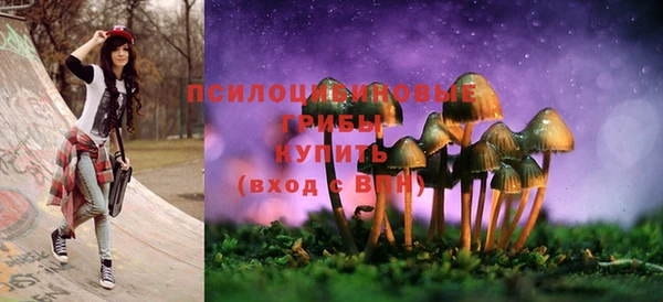 круглые Аркадак